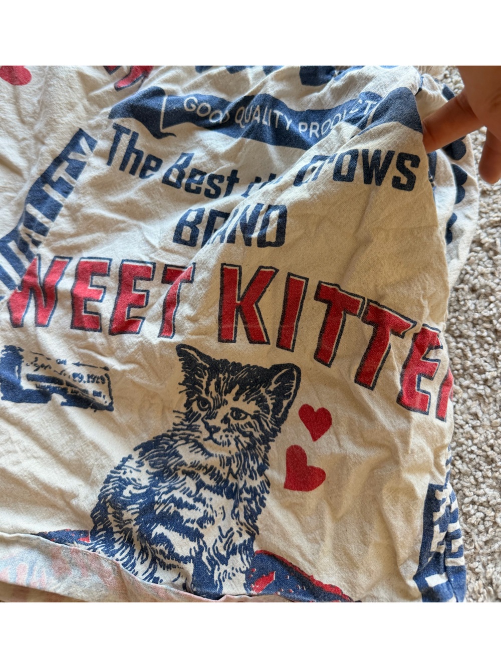 Sweet Kitten Graphic womens Shorts - Cream with Red & Blue Print - Picture 4 of 10
